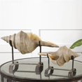 thumbnail image 2 of Uttermost Sculpture de Coquille de Conque la Plus (Lot de 2), 2 of 2