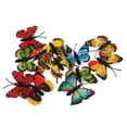 thumbnail image 1 of Paquete De 12 Piezas De Estatuilla De Mariposa Multicolor De Ciencia Y Naturaleza Modelo Coleccionables De Juguete De Hugo Figuras de acción de simulación, 1 of 7