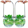 thumbnail image 2 of 2PCS Hanging Glass Vase Creative Lovely Plant Terrarium Hanging Terrarium, 2 of 8