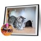 thumbnail image 2 of Kit de pintura de diamante 5D, taladro redondo completo de animales, imágenes de mosaico DIY de diamantes de imitación Tmvgtek decoración de arte en el hogar, 2 of 9