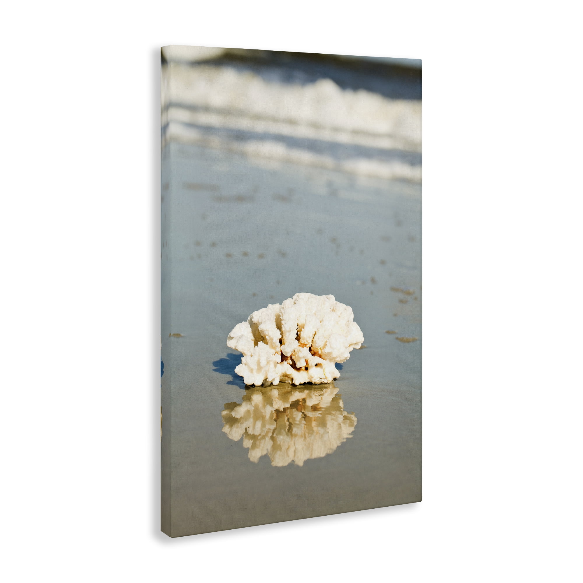 Stupell Industries Coral on Sea Shore Coastal Photography Gallery Wrapped Canvas Art Print Wall Art, 20 x 30