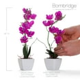thumbnail image 3 of Bornbridge Artificial Potted Orchid with Long Stem (2 Pack, Violet - Medium), 3 of 5