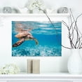 thumbnail image 1 of Grande Tortue de Mer à Bec-de-Pie - Impression Artistique Abstraite sur Toile, 1 of 3