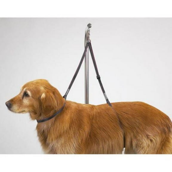 Nylon Grooming Table Harness For Dogs 27 Inches Adjustable Double Dog Noose