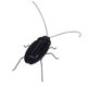 thumbnail image 5 of Niños Bebé Energía Solar Energía Insecto Insecto Saltamontes Niños Juguete Regalo Novedad Solar Juguetes divertidos Scienceny WJ1280-02B, 5 of 6