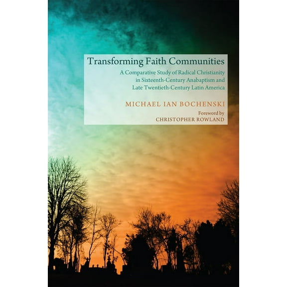 Transforming Faith Communities (Paperback)