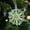 Green, variant on Hioyaky Christmas Snowflake Snowflake String Decoration Christmas Tree Decoration Pendant For Christmas Decoration Christmas Tree Hanging Embellishments And Craft Diy