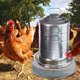 thumbnail image 5 of Calentador de agua para aves de corral calentador de agua para pollos para invierno Base calentada JShteea Libre de BPA, 5 of 9
