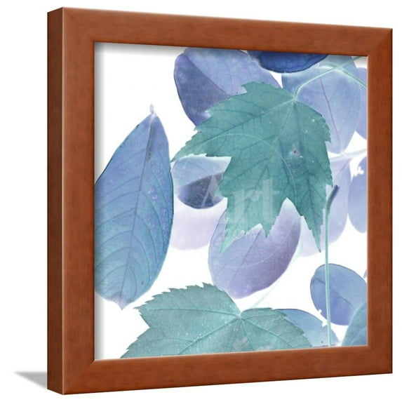 Xray Leaves III, Botanical Framed Art Print Wall Art by Vision Studio Sold by Art.Com
