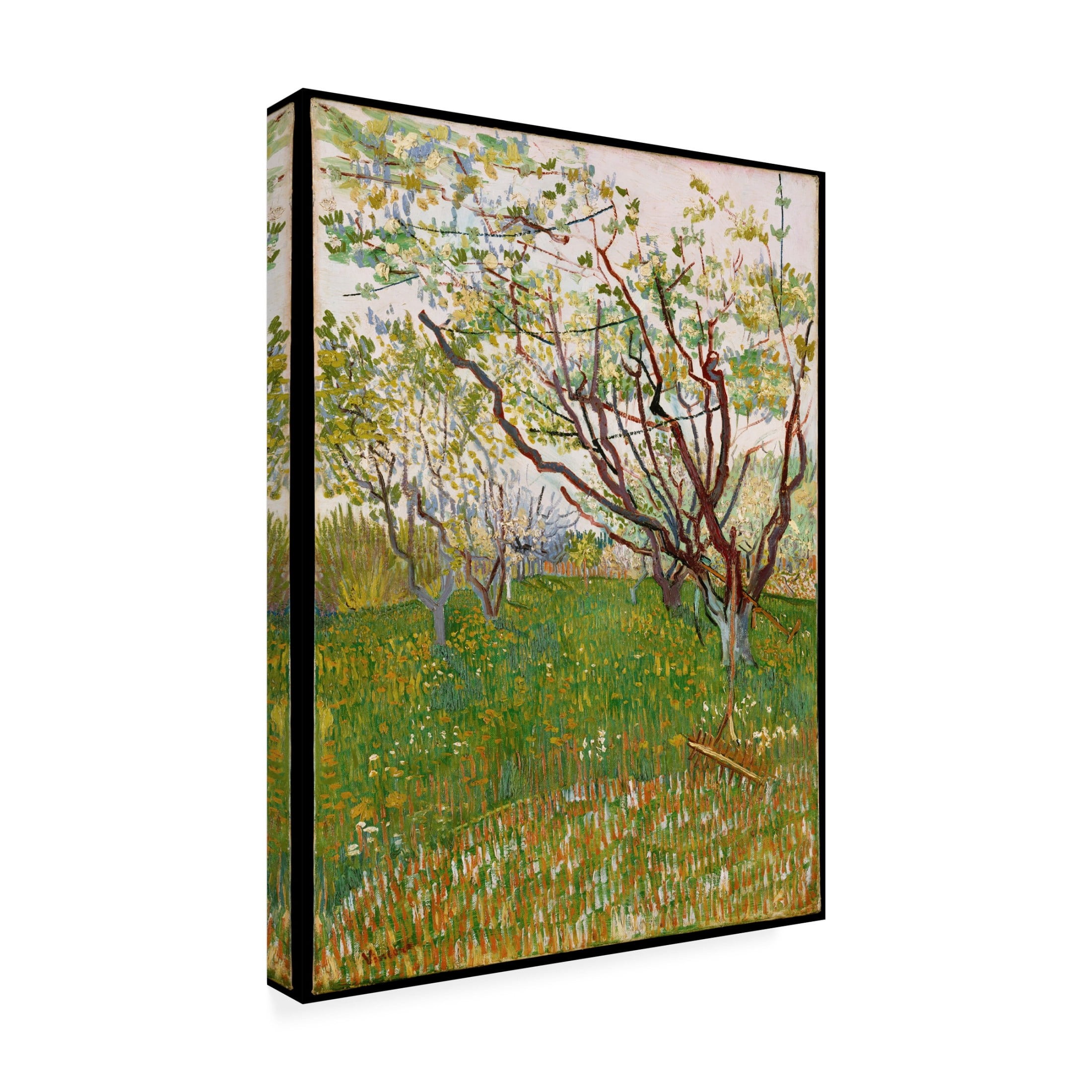 Canvas Wall Art - Masters Collection 'Cherry Tree Vincent Van Gogh' Wall Art for Living Room, Bedroom, or Office Décor by Trademark Fine Art - 24 x 32 Inches