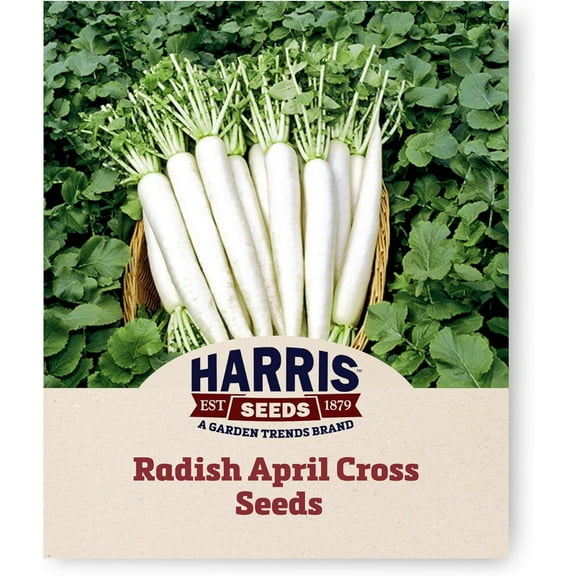 Harris Seeds - Treated Radish Seeds April Cross Variety Pure White Roots - 250 Seeds