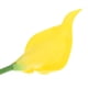 thumbnail image 4 of Uxcell 13" Flores Artificiales de Lirio Calla Arreglos Florales Decorativos, Amarillo 10 Tallos, 4 of 5