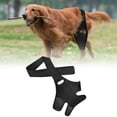 Dog Supplies Near Me Dog Trimming Accessories Double Line With Swivel