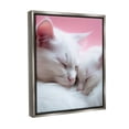 thumbnail image 4 of Stupell Industries Sleeping Cats on Pink Animals & Insects Painting Gray Floater Framed Canvas Art Print Wall Art, 25 x 31, 4 of 10