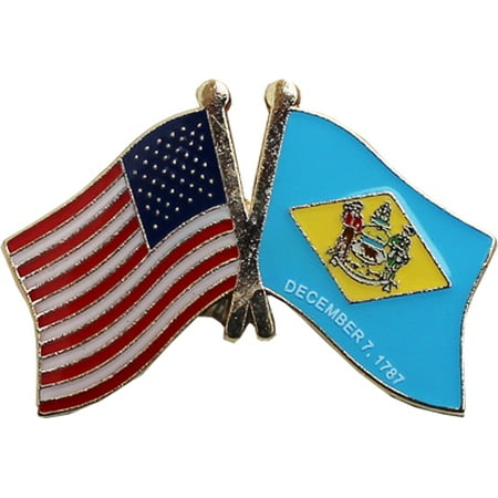 Delaware Friendship Pin