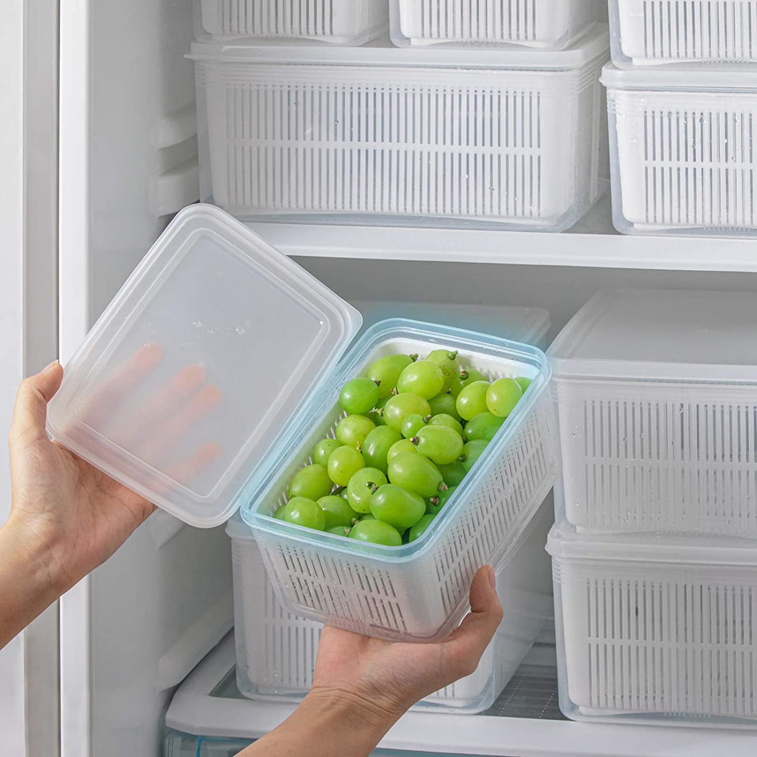 Lime Green Refrigerator Bin Liners Set of 4 Walter Drake for Fresh Fruits Veggie for sale online 