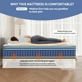 thumbnail image 5 of King Mattress, BedNew 12 inch Mattress in a Box, Medium Firm Pillow Top Hybrid Memory Foam Mattress with Pocket Spring, 5 of 8