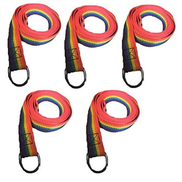 MPP Rainbow Slip Style Dog Leash 6 ft Vet Rescue Shelter Training 5 or 10 Lead Packs (5 Leads)