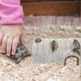 thumbnail image 3 of BRIGHTFUFU 1pc reptiles escondido house tortuga lizard escape cueva resina caseta refugio, 3 of 8