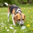 thumbnail image 4 of Muzzle for Large Sized Dog, Air Mesh Breathable with Reflective Strips _ Gray _ S, 4 of 6