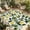 Lemon Yellow, variant on Summer Lemon Outdoor Rug for Patio/Deck/Porch, Non-Slip Large Area Rug 5 x 8 Ft, Yellow Fruits Pastoral Green Botanical Indoor Outdoor Rugs Washable Area Rugs, Reversible Camping Rug Carpet Runner