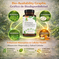 thumbnail image 5 of Moringa, Soursop (Guanábana) & Turmeric (Cúrcuma) - 90 Vegetable Capsules - 1500mg Per Serving - 100% Natural Organically Grown Ingredients - Powerful Antioxidant & Immune Support Blend - Authentic b, 5 of 11