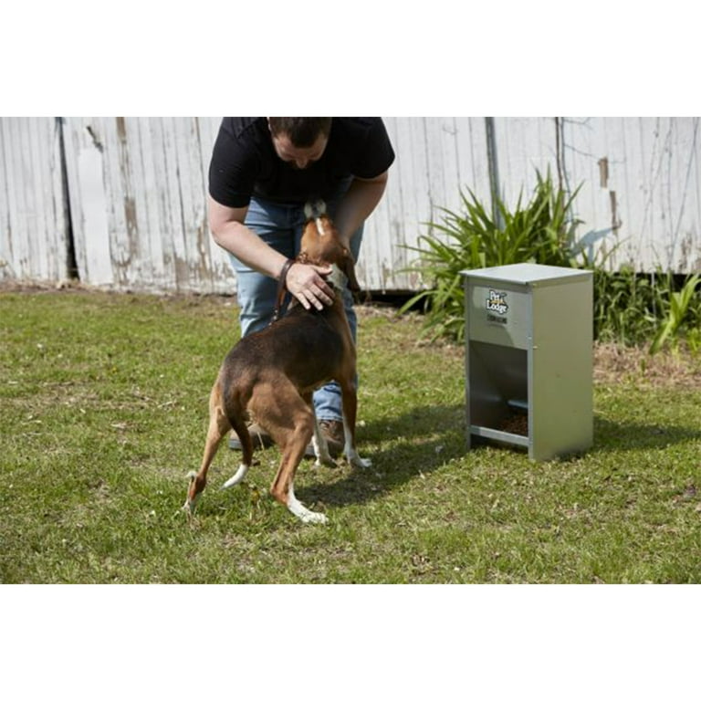 Galvanized Dog Feeder