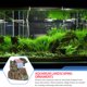 thumbnail image 3 of NUOLUX Casa De Resina Para De Acuario Con Resistente Y Para Peces, 3 of 6