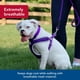 thumbnail image 3 of Arnés para perros Coastal Pet Comfort Soft Reflectante Morado, 3 of 9