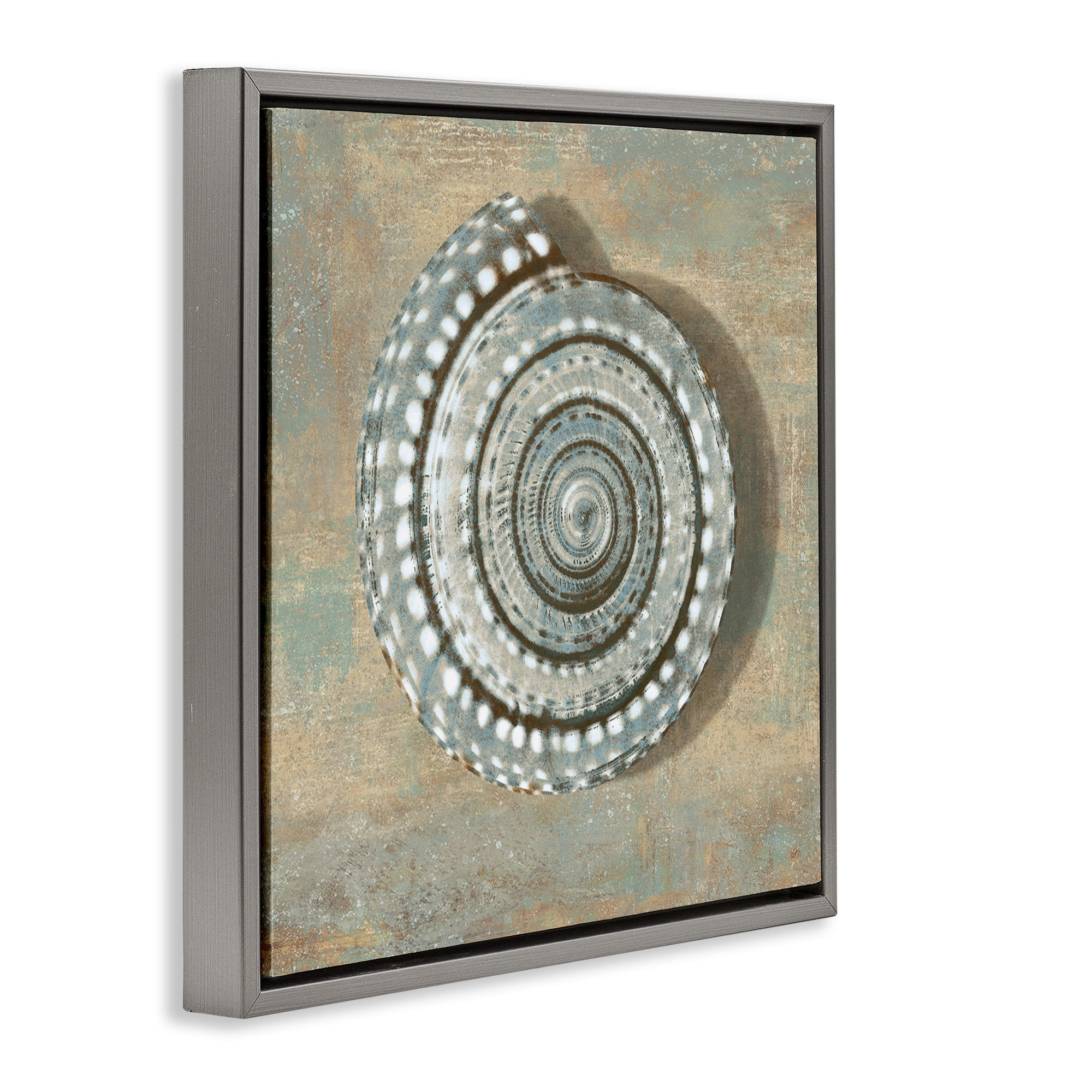 Stupell Industries Spiral Shell Beach Objects Design Nature Painting Gray Floater Framed Canvas Art Print Wall Art, 18 x 18