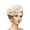 Beige, variant on SWSMCLT Women's Fascinator Hats Autumn Feather Headwear Vintage Elegant Pull On Fascinator Tea Party Headband Pink One Size