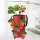 thumbnail image 5 of 3Pcs Multi-Function 12 Holes Felt Hanging Tomato Grow Bag,B, 5 of 5