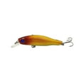 thumbnail image 4 of Yimiti 5Pcs Hard Fishing Lures Plastic Minnow Artificial Baits Set For Beginner Starter,B Set, 4 of 9