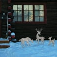 thumbnail image 3 of Good Tidings Outdoor Christmas Decoration Display, 3 Piece Reindeer, 50 Lights, 3 of 3