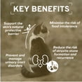 thumbnail image 4 of Forza10 Actiwet Urinary Support Icelandic Fish Recipe Canned Cat Food, 4 of 14
