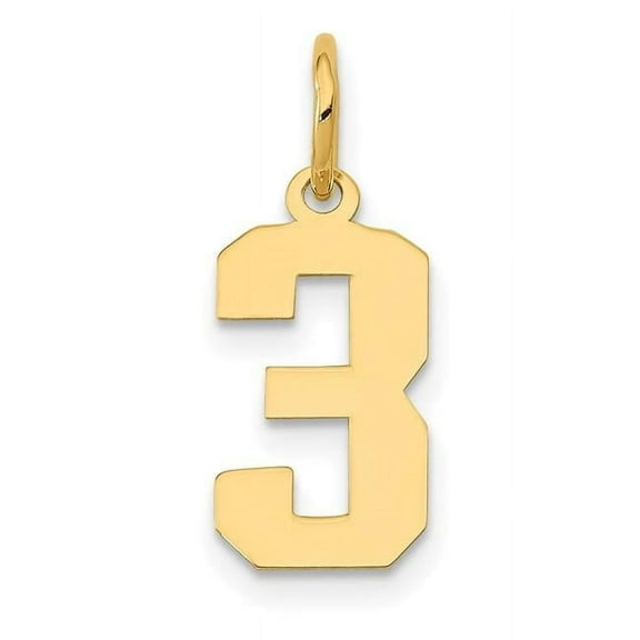 Finest Gold 14K Yellow Gold Small Polished Number 3 Charm