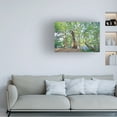 thumbnail image 2 of Beata Czyzowska Young 'Summer Greens' Canvas Art, 2 of 4