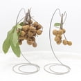 thumbnail image 4 of Injueey Elegante gancho de soporte de árbol de plátano de acero inoxidable para decoración creativa del hogar Organizadores de utensilios de cocina, 4 of 6