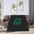 thumbnail image 7 of Charlotte 49ers Original Ultra-Soft Micro Fleece Blanket Soft Comfortable Flannel Blanket Available for Bed Couch Living Room, 7 of 7