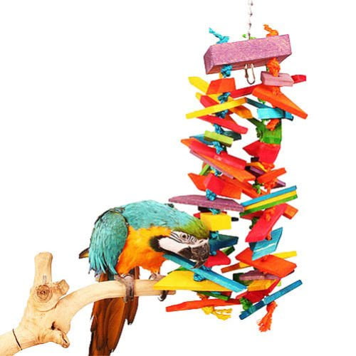bird toys walmart