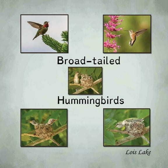 Broad-tailed Hummingbirds, (Paperback)