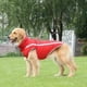 thumbnail image 5 of Abrigo impermeable para perros, chaqueta cálida de invierno, ropa resistente al viento para cachorros, chaleco reflectante para perros pequeños, medianos y grandes, forro polar, con, 5 of 5