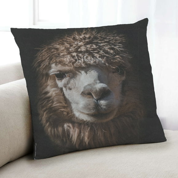Ahgly Company Animals Llama Indoor Throw Pillow, 18 inch by 18 inch