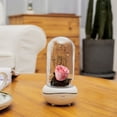 thumbnail image 3 of RKZDSR LED Rose Night Light Aroma Diffuser with Everlasting Silk Rose Flower - Humidifier and Lamp Diffuser Combo, 3 of 6