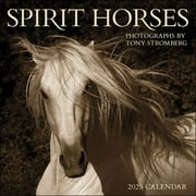 Spirit Horses 2025 Wall Calendar by Tony Stromberg (Calendar)