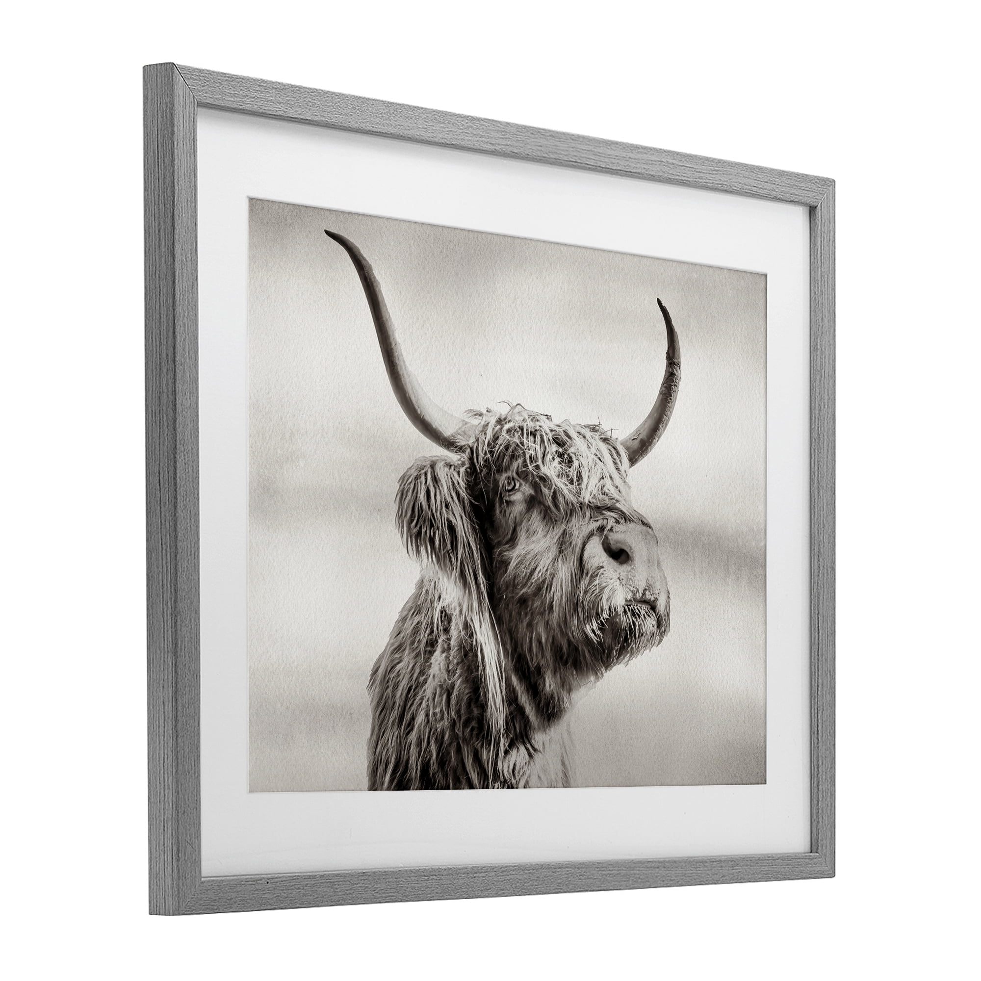 Stupell Industries Horned Highland Cow Gazing Gray Framed Print Under Glass, design by Julia Frost