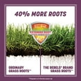 thumbnail image 3 of Pennington Rebels Shady Lawn Grass Seeds Mix, for Moderate to Heavy Shade, 7 lb., 3 of 12