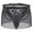 Black, variant on ZToonmas Mens Sheer Lace Boxer Briefs Low Rise Bow Lingerie with Multiple Color Options for Daily Wear