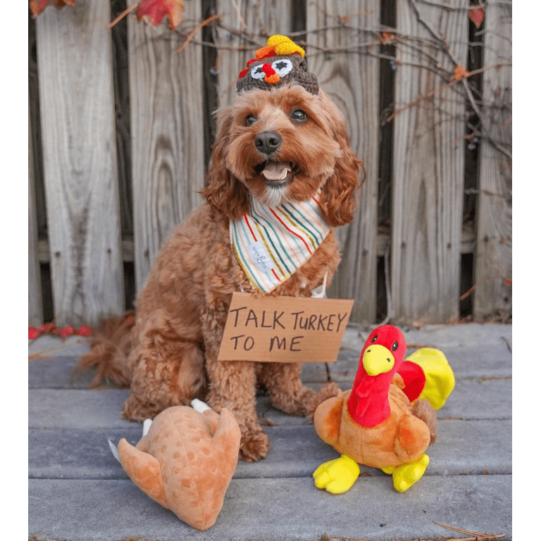Midlee Roasted Thanksgiving Turkey Plush Dog Toy (Large)