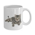 thumbnail image 2 of Grey Tabby Cat Mug - Funny Tea Hot Cocoa Coffee Cup - Novelty Birthday Christmas Anniversary Gag Gifts, Ceramic Mug 11Oz, 2 of 4